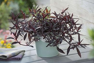 Steam开启“自动化游戏节” 《幸福工厂》7折95元