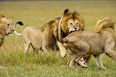 《黑神话：悟空》已在QQ开启预约 或将登陆Wegame