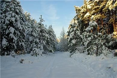 《羊蹄山之魂》只是《对马岛之魂》的大型DLC？ 粉丝热议：没有创新