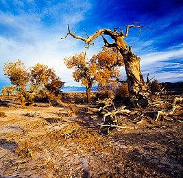 《文明6》新视频公开中文配音武则天形象