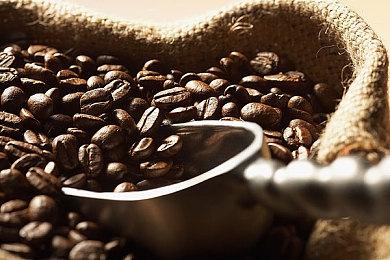 2023年PC游戏销量与收入排行 《博德之门3》登顶