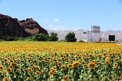 《赛博朋克2077》Steam当前在线超过《巫师3》峰值